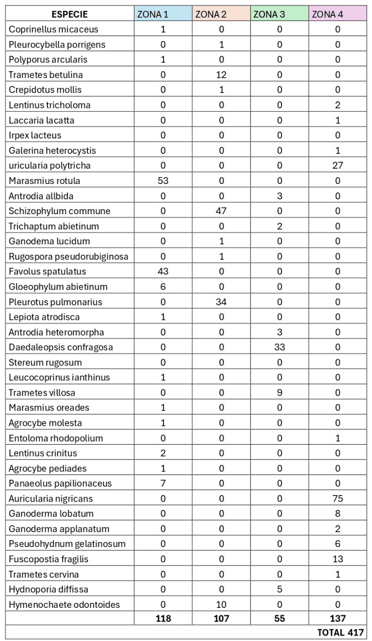 Tabla de datos